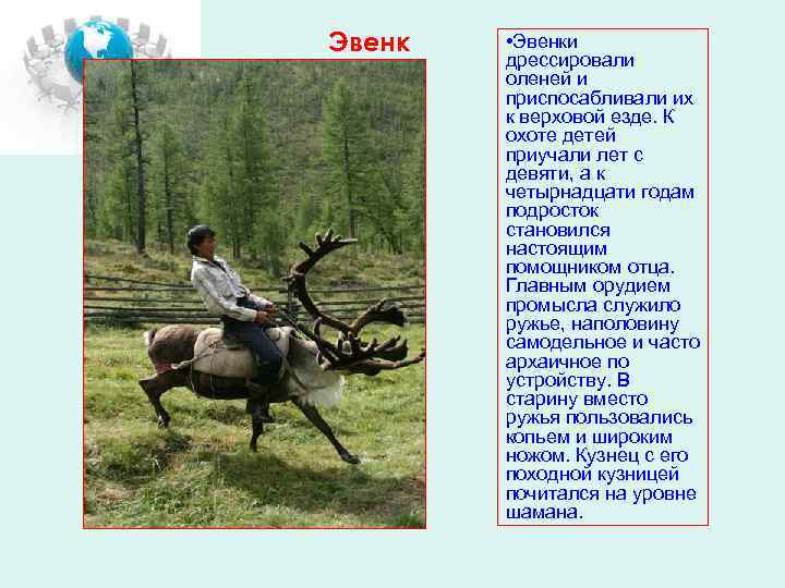 Эвенк • Эвенки дрессировали оленей и приспосабливали их к верховой езде. К охоте детей