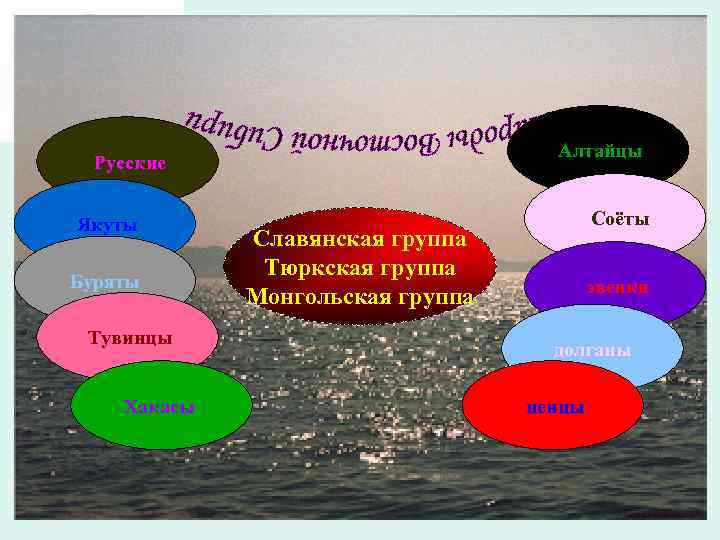 Алтайцы Русские Якуты Буряты Тувинцы Хакасы Соёты Славянская группа Тюркская группа Монгольская группа эвенки