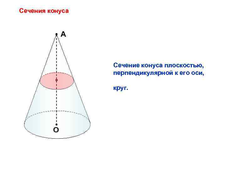 Сечения конуса А Сечение конуса плоскостью, перпендикулярной к его оси, круг. О 