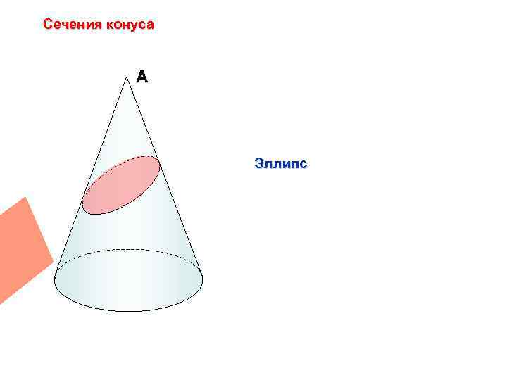 Сечения конуса А Эллипс 