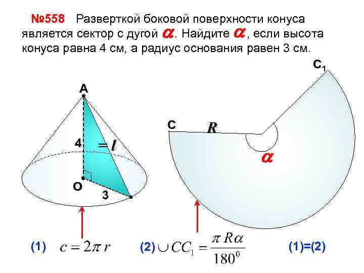 № 558 Разверткой боковой поверхности конуса является сектор с дугой a. Найдите a ,