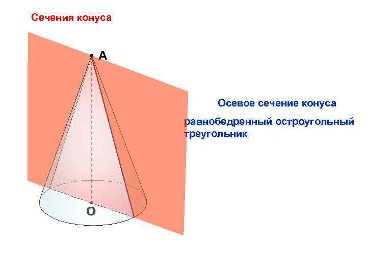 Сечения конуса А Осевое сечение конуса равнобедренный остроугольный треугольник О 
