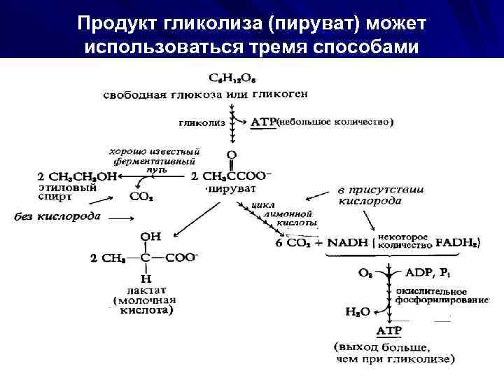 4 реакция гликолиза