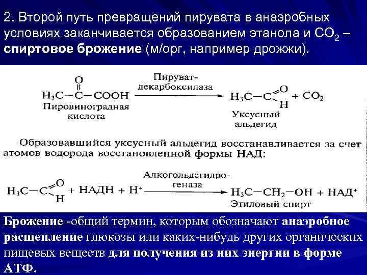 Этанол схема превращений