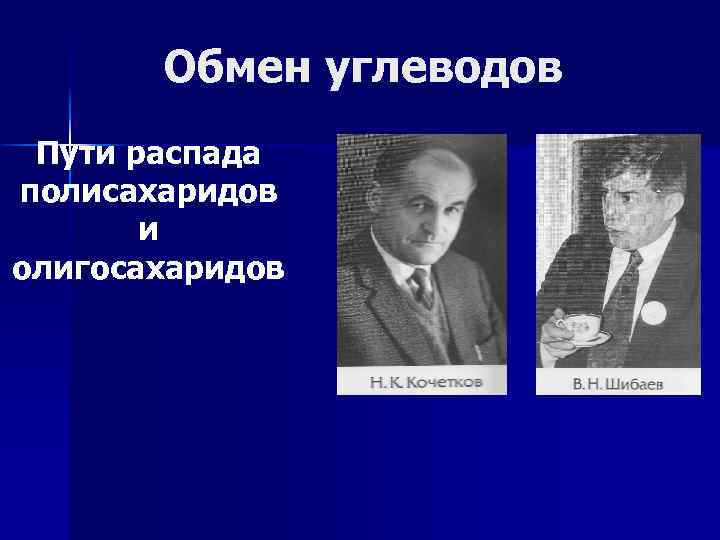Обмен углеводов Пути распада полисахаридов и олигосахаридов 