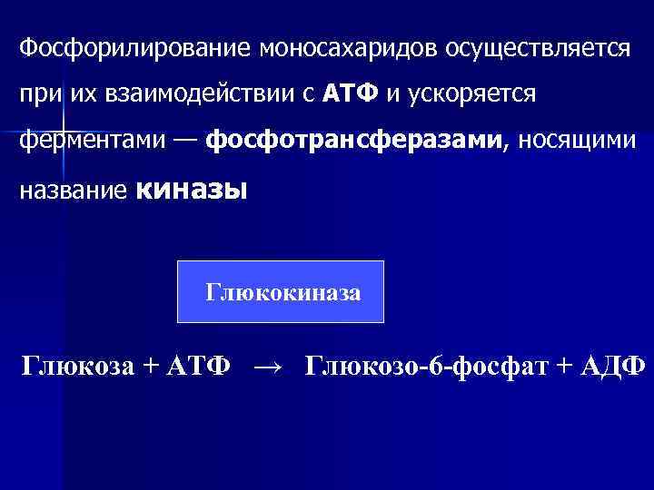 Фосфорилирование моносахаридов осуществляется при их взаимодействии с АТФ и ускоряется ферментами — фосфотрансферазами, носящими