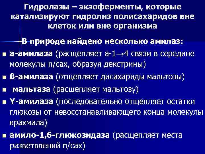 Гидролазы – экзоферменты, которые катализируют гидролиз полисахаридов вне клеток или вне организма n В