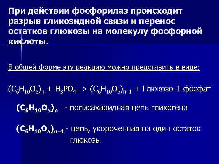 При действии фосфорилаз происходит разрыв гликозидной связи и перенос остатков глюкозы на молекулу фосфорной