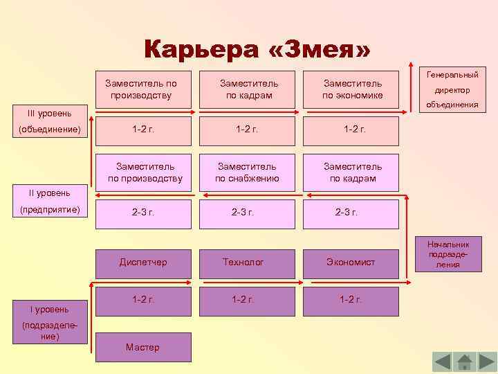 4 модели карьеры. Карьера змея. Тип карьеры змея. Модель построения карьеры змея. Модель карьеры змея рисунок.