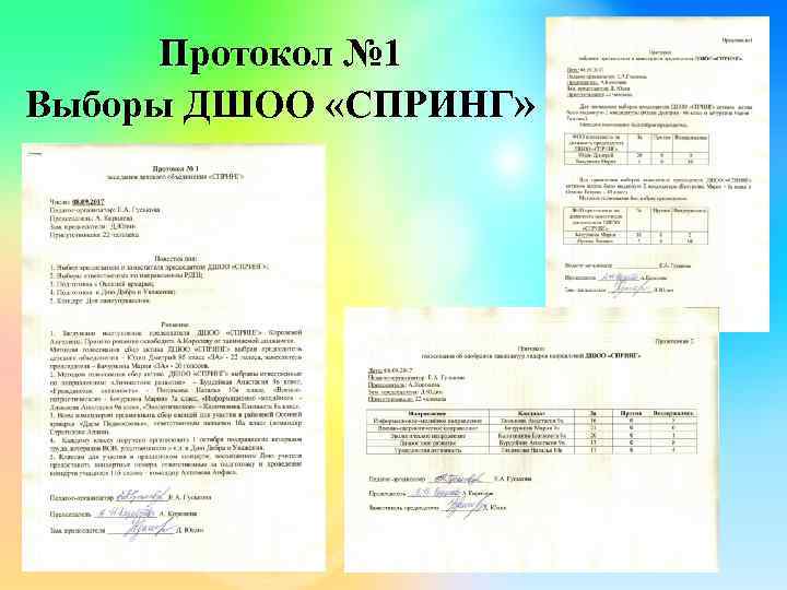 Протокол № 1 Выборы ДШОО «СПРИНГ» 