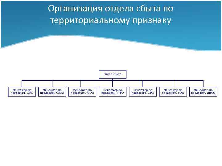 Организация отдела сбыта по территориальному признаку Тема I: Сбытовая стратегия фирмы 