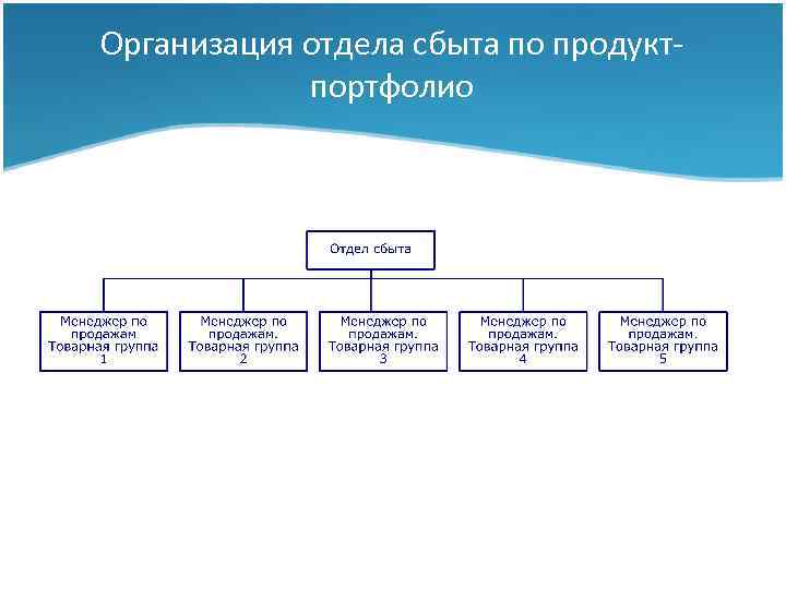Организация отдела сбыта по продуктпортфолио Тема I: Сбытовая стратегия фирмы 