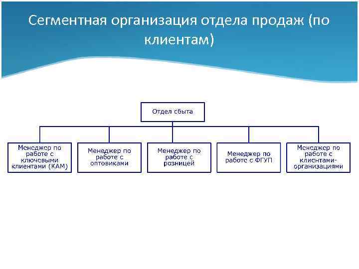 Сегментная организация отдела продаж (по клиентам) Тема I: Сбытовая стратегия фирмы 