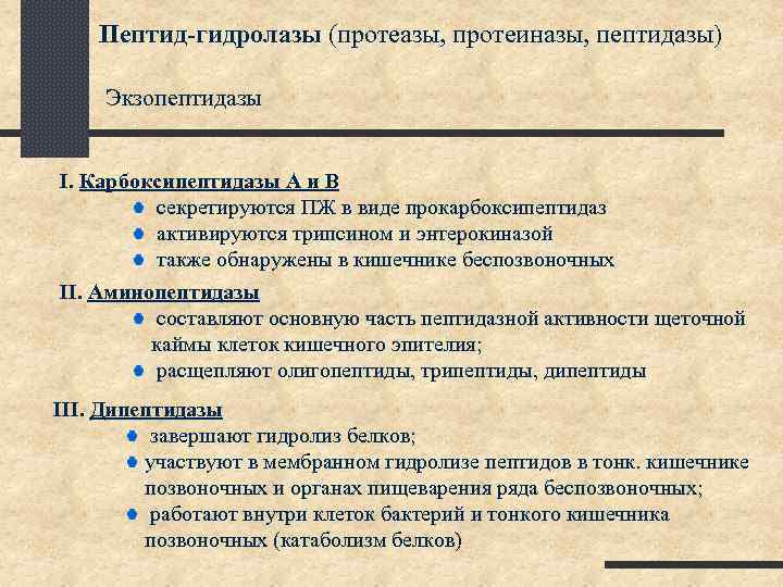 Пептид-гидролазы (протеазы, протеиназы, пептидазы) Экзопептидазы I. Карбоксипептидазы А и B секретируются ПЖ в виде