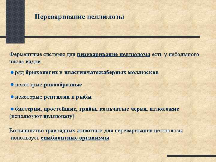 Переваривание целлюлозы Ферментные системы для переваривание целлюлозы есть у небольшого числа видов: ряд брюхоногих