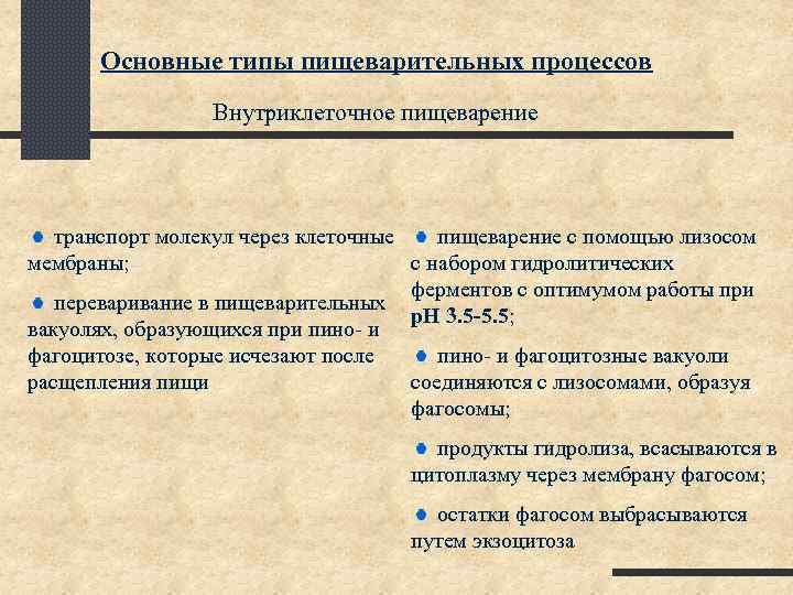 Основные типы пищеварительных процессов Внутриклеточное пищеварение транспорт молекул через клеточные пищеварение с помощью лизосом