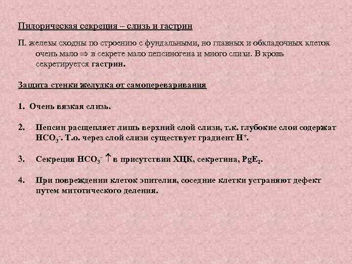 Пилорическая секреция – слизь и гастрин П. железы сходны по строению с фундальными, но