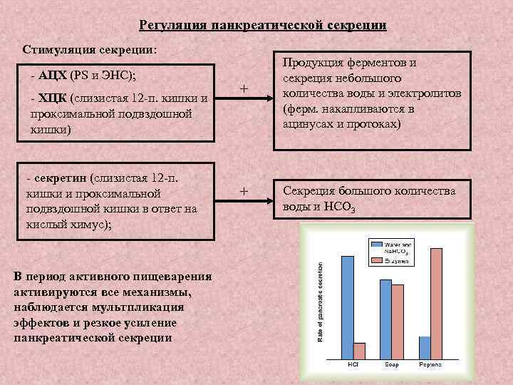 Регуляция панкреатической секреции Стимуляция секреции: - АЦХ (PS и ЭНС); - ХЦК (слизистая 12