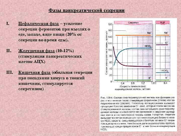 Фазы панкреатической секреции I. Цефалическая фаза – усиление секреции ферментов при мыслях о еде,