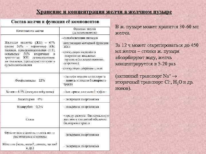 Хранение и концентрация желчи в желчном пузыре В ж. пузыре может хранится 30 -60