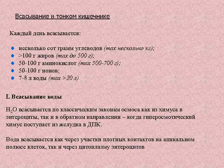Всасывание в тонком кишечнике Каждый день всасывается: несколько сот грамм углеводов (max несколько кг);
