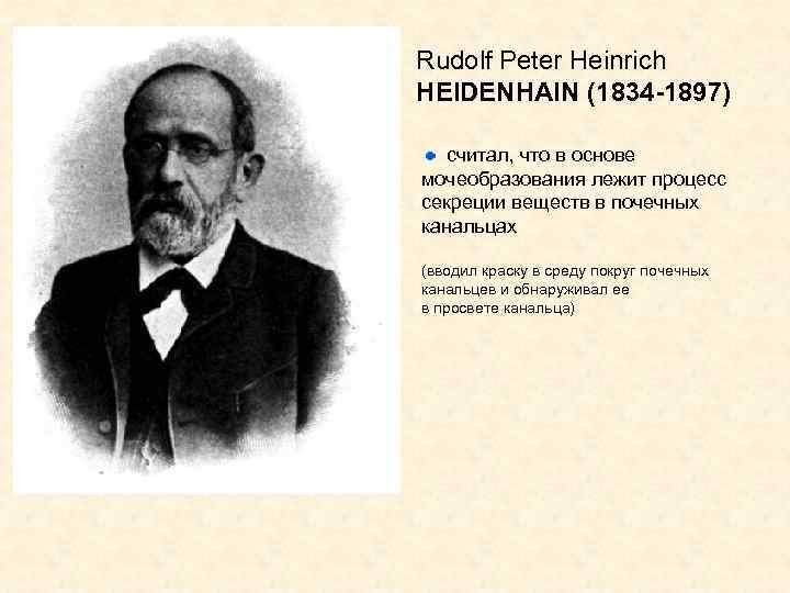 Rudolf Peter Heinrich HEIDENHAIN (1834 -1897) считал, что в основе мочеобразования лежит процесс секреции