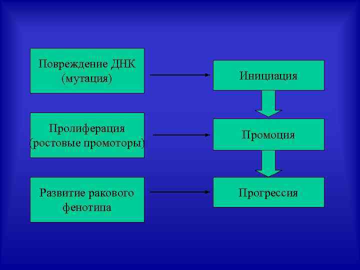 Повреждение ДНК (мутация) Инициация Пролиферация (ростовые промоторы) Промоция Развитие ракового фенотипа Прогрессия 