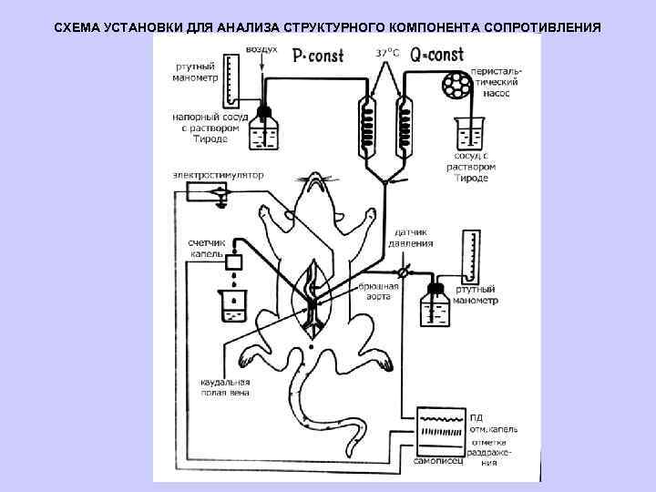 СХЕМА УСТАНОВКИ ДЛЯ АНАЛИЗА СТРУКТУРНОГО КОМПОНЕНТА СОПРОТИВЛЕНИЯ 