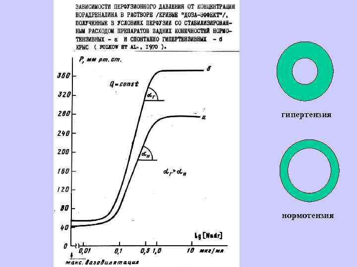гипертензия нормотензия 