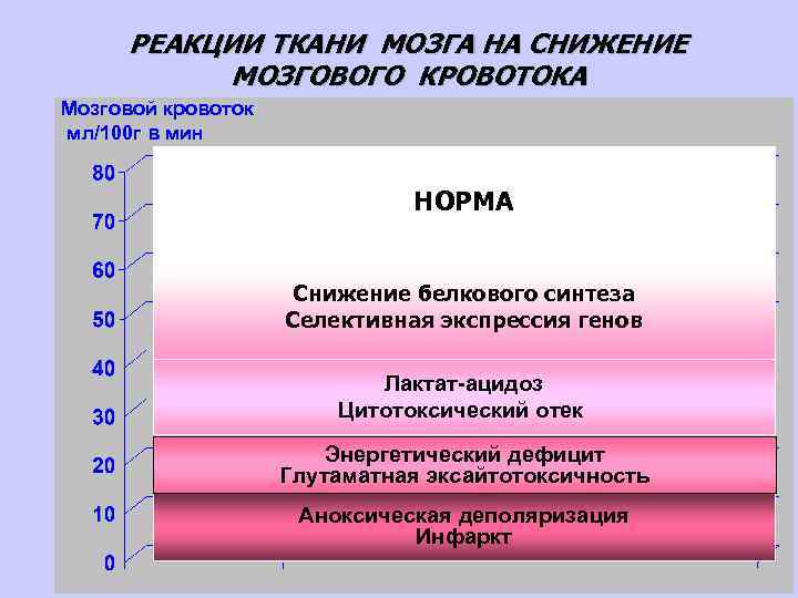 РЕАКЦИИ ТКАНИ МОЗГА НА СНИЖЕНИЕ МОЗГОВОГО КРОВОТОКА Мозговой кровоток мл/100 г в мин НОРМА