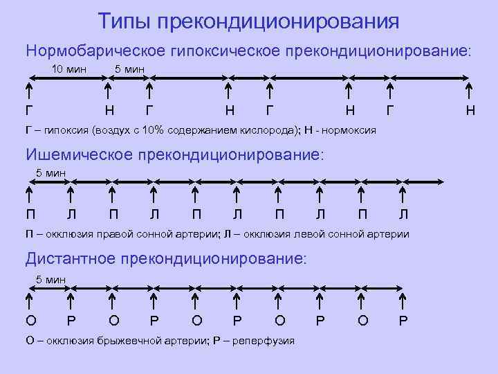 Типы прекондиционирования Нормобарическое гипоксическое прекондиционирование: 10 мин Г 5 мин Н Г Н Г