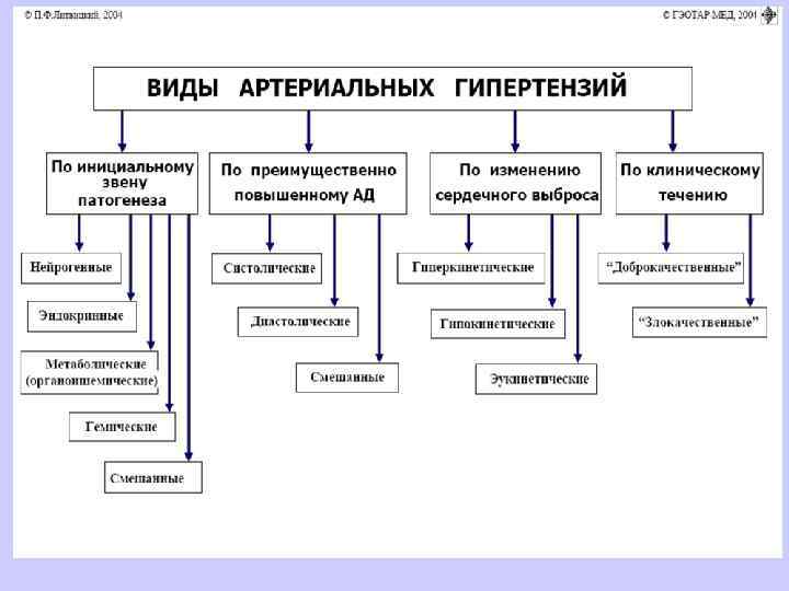 Структурный компонент сопротивления зависит как от просвета индивидуальных резистивных сосудов, так и от морфологической