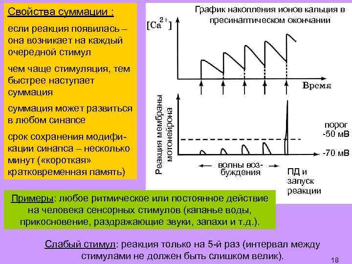 График накопления ионов кальция в пресинаптическом окончании Свойства суммации : чем чаще стимуляция, тем