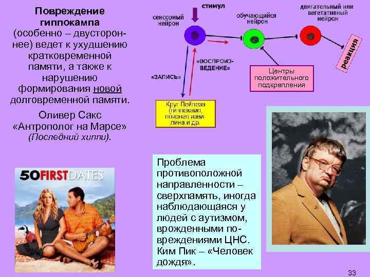Повреждение гиппокампа (особенно – двустороннее) ведет к ухудшению кратковременной памяти, а также к нарушению