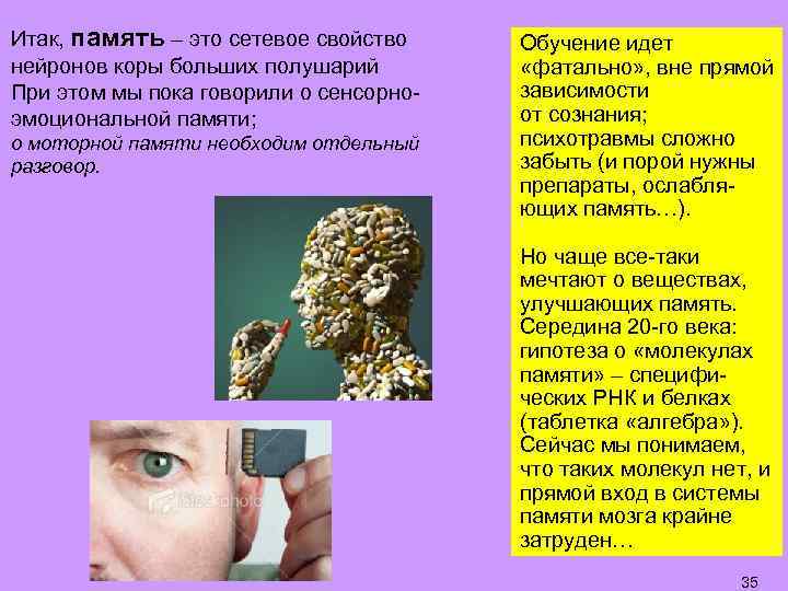 Итак, память – это сетевое свойство нейронов коры больших полушарий При этом мы пока