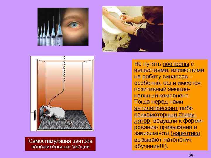 Самостимуляция центров положительных эмоций Не путать ноотропы с веществами, влияющими на работу синапсов –