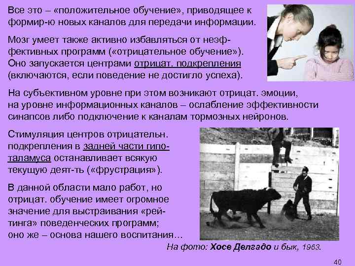 Все это – «положительное обучение» , приводящее к формир-ю новых каналов для передачи информации.
