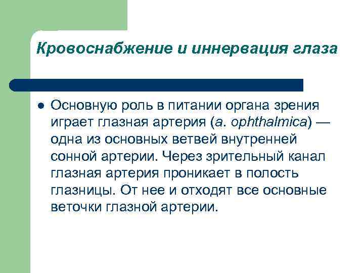 Кровоснабжение и иннервация глаза l Основную роль в питании органа зрения играет глазная артерия