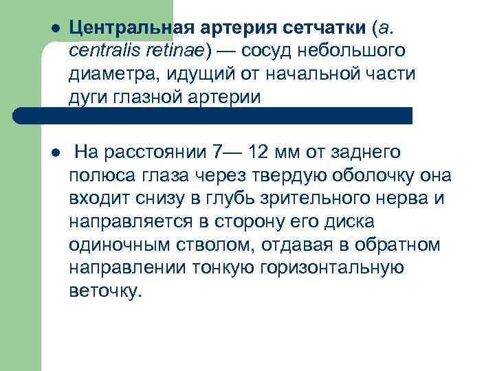 l Центральная артерия сетчатки (а. centralis retinae) — сосуд небольшого диаметра, идущий от начальной