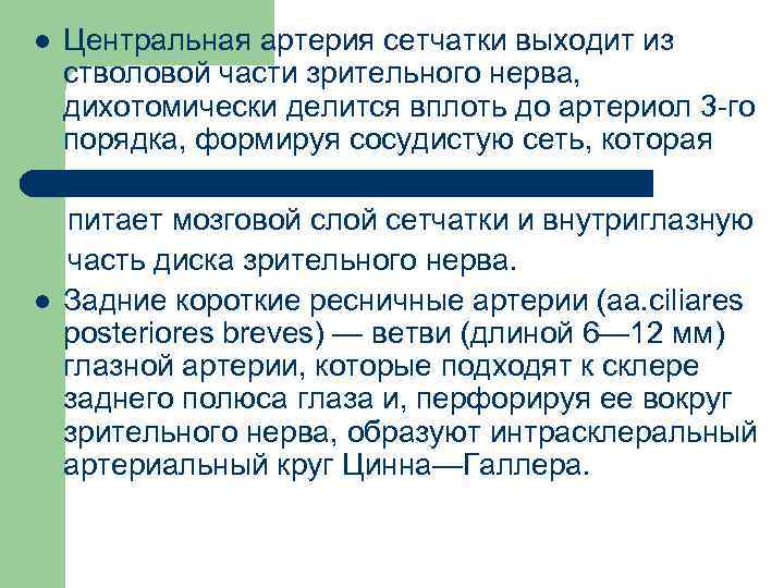 l l Центральная артерия сетчатки выходит из стволовой части зрительного нерва, дихотомически делится вплоть