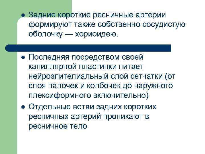 l Задние короткие ресничные артерии формируют также собственно сосудистую оболочку — хориоидею. l Последняя