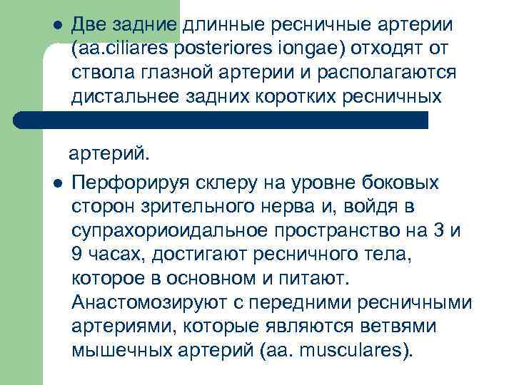 l Две задние длинные ресничные артерии (aa. ciliares posteriores iongae) отходят от ствола глазной