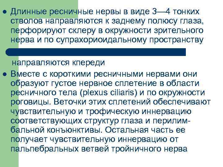 l l Длинные ресничные нервы в виде 3— 4 тонких стволов направляются к заднему