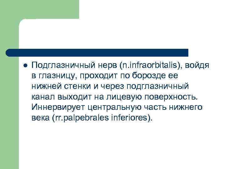 l Подглазничный нерв (n. infraorbitalis), войдя в глазницу, проходит по борозде ее нижней стенки