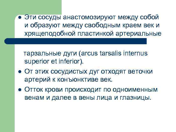 l Эти сосуды анастомозируют между собой и образуют между свободным краем век и хрящеподобной