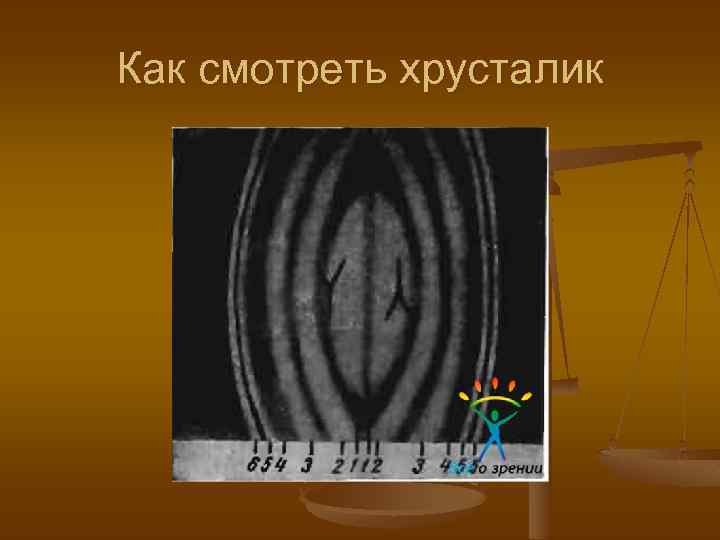Как смотреть хрусталик 