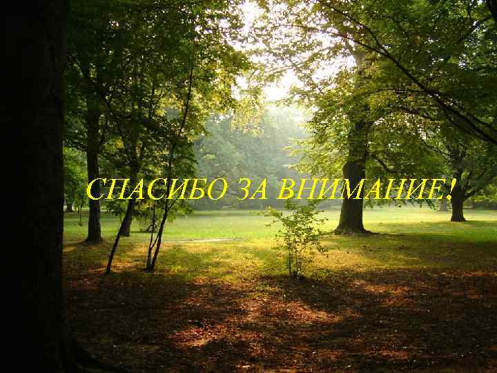 СПАСИБО ЗА ВНИМАНИЕ! EUGC 082 q September 2008 
