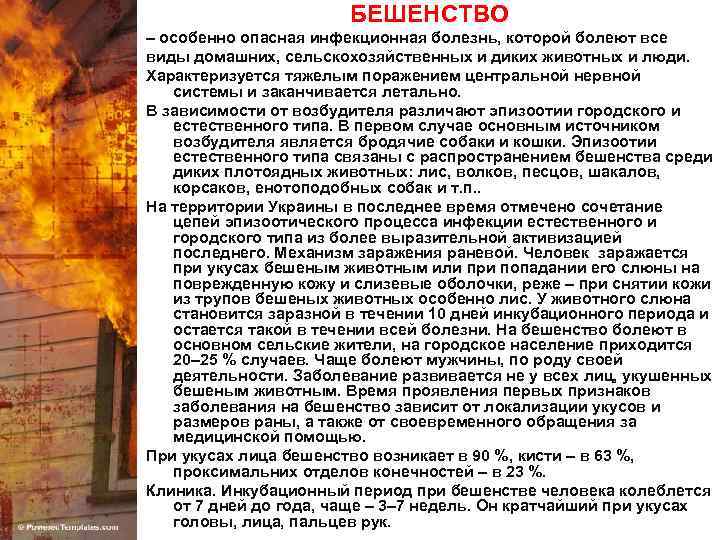 БЕШЕНСТВО – особенно опасная инфекционная болезнь, которой болеют все виды домашних, сельскохозяйственных и диких