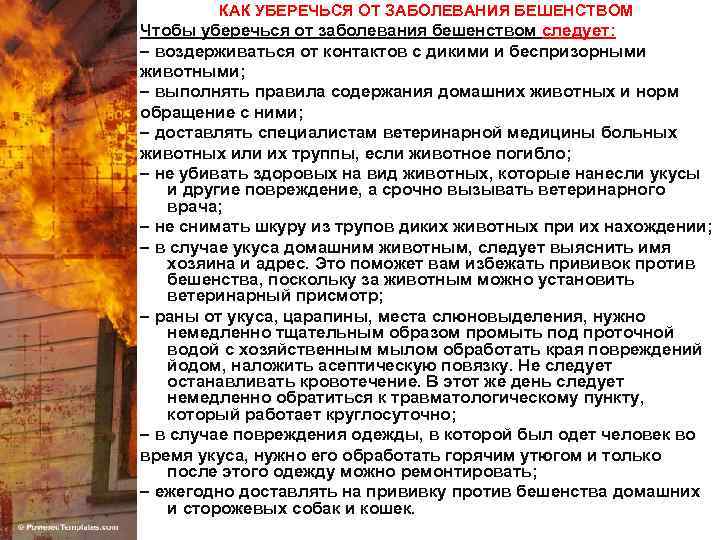 КАК УБЕРЕЧЬСЯ ОТ ЗАБОЛЕВАНИЯ БЕШЕНСТВОМ Чтобы уберечься от заболевания бешенством следует: – воздерживаться от