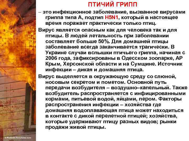 ПТИЧИЙ ГРИПП – это инфекционное заболевание, вызванное вирусами гриппа типа А, подтип Н 5